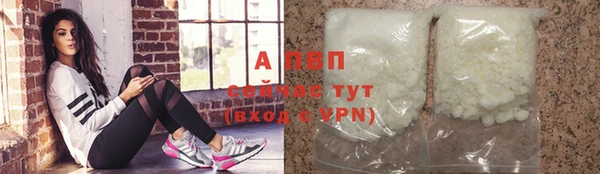 индика Слюдянка