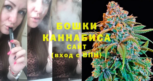индика Слюдянка
