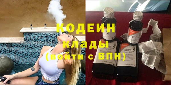 индика Слюдянка