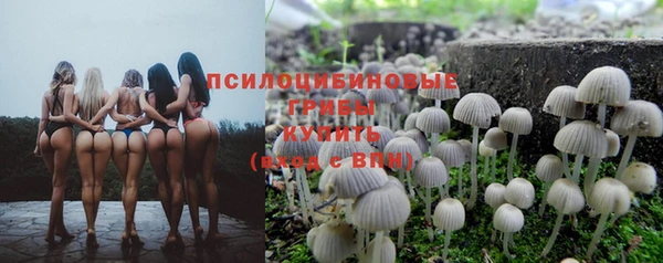 альфа пвп Снежногорск