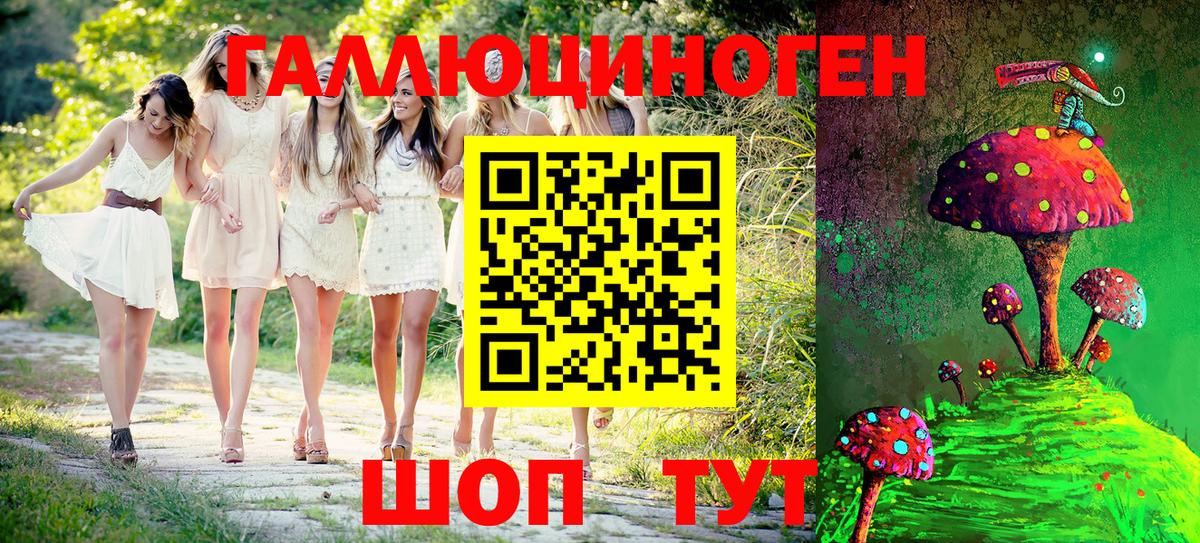 Псилоцибиновые грибы Psilocybe Дюртюли
