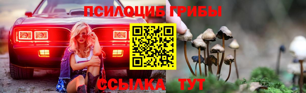 Галлюциногенные грибы Psilocybine cubensis  Вход с VPN  Дюртюли 